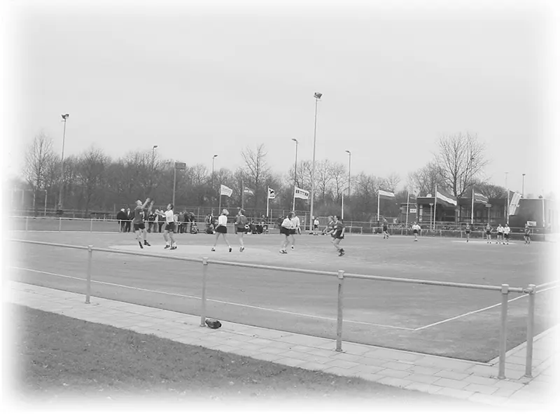 kunstgrasveld kunstgrasveld